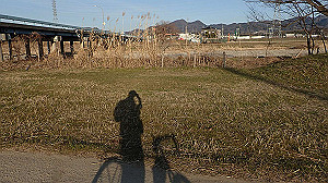 p2274017_thumb.jpg