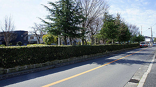 dsc01628_thumb.jpg