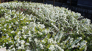 dsc01629_thumb.jpg