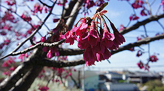 dsc01631_thumb.jpg