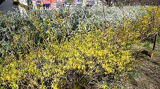dsc01636_thumb.jpg