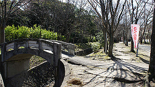 dsc01638_thumb.jpg