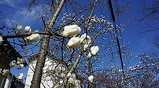 dsc01639_thumb.jpg