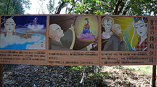 dsc01644_thumb.jpg