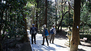 dsc01647_thumb.jpg