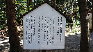 dsc01649_thumb.jpg