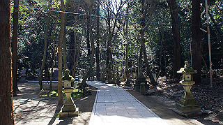 dsc01650_thumb.jpg