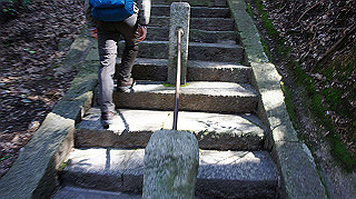 dsc01653_thumb.jpg