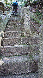 dsc01655_thumb.jpg