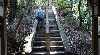 dsc01658_thumb.jpg