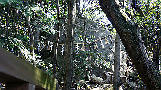 dsc01669_thumb.jpg