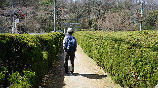 dsc01677_thumb.jpg