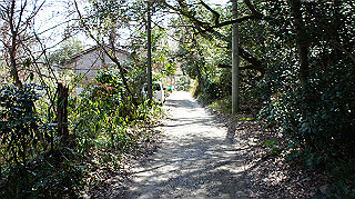 dsc01683_thumb.jpg