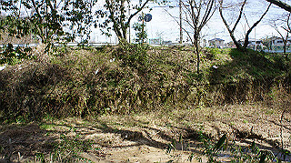 dsc01685_thumb.jpg