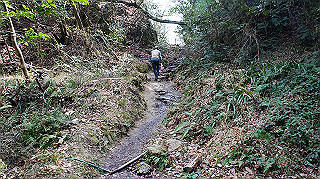dsc01688_thumb.jpg