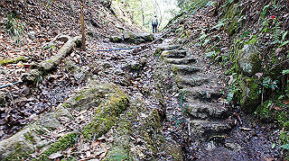 dsc01690_thumb.jpg