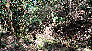 dsc01691_thumb.jpg