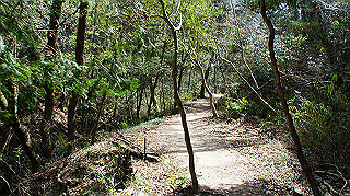 dsc01692_thumb.jpg