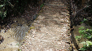 dsc01693_thumb.jpg