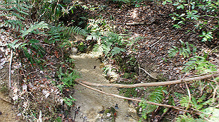 dsc01694_thumb.jpg