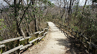 dsc01698_thumb.jpg