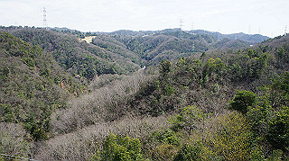 dsc01705_thumb.jpg