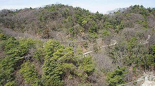 dsc01710_thumb.jpg