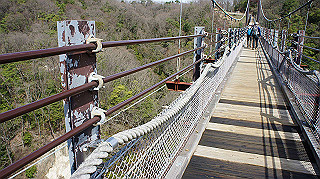 dsc01711_thumb.jpg