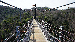 dsc01714_thumb.jpg