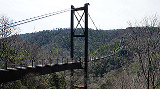 dsc01722_thumb.jpg