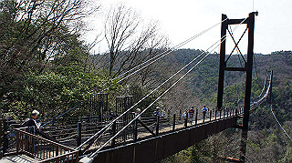 dsc01724_thumb.jpg