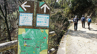 dsc01729_thumb.jpg