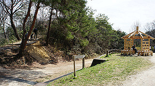 dsc01730_thumb.jpg
