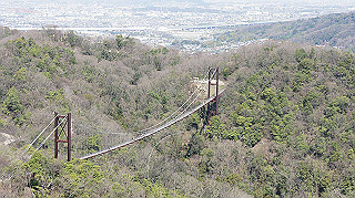 dsc01734_thumb.jpg