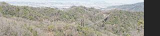 dsc01736_thumb.jpg