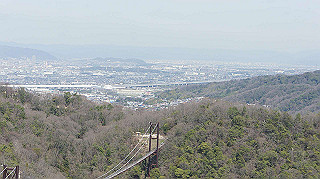 dsc01737_thumb.jpg