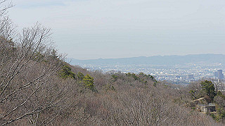 dsc01738_thumb.jpg