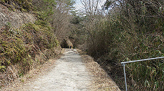 dsc01743_thumb.jpg