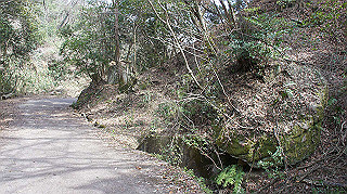 dsc01744_thumb.jpg