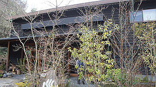 dsc01751_thumb.jpg