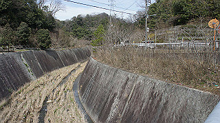 dsc01755_thumb.jpg