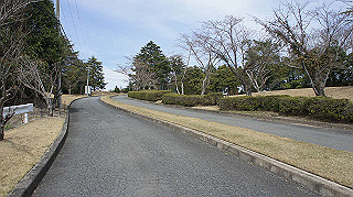 dsc01757_thumb.jpg