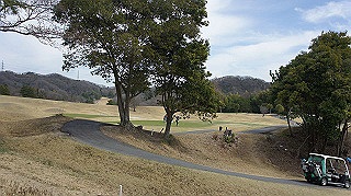dsc01760_thumb.jpg