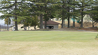 dsc01761_thumb.jpg