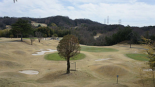 dsc01762_thumb.jpg
