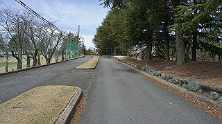 dsc01763_thumb.jpg