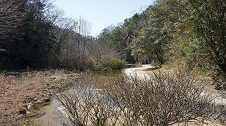 dsc01772_thumb.jpg