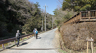 dsc01774_thumb.jpg