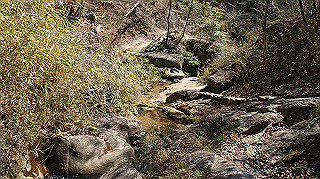 dsc01777_thumb.jpg