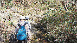 dsc01778_thumb.jpg
